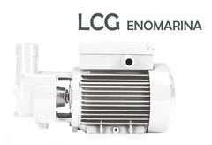 ELETTROPOMPA CENTRIFUGA - Gas 1" - CC/MF/TF - kW 0,55 - GHISA