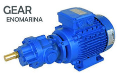 ELETTROPOMPA AUTOADESCANTE AD INGRANAGGI - Gas  3/8"  - MF - RPM 1400 - kW 0,09 - GHISA