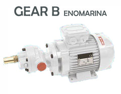 ELETTROPOMPA AUTOADESCANTE AD INGRANAGGI - Gas  1" - MF/TF - RPM 1400 - kW  1,1 - BRONZO