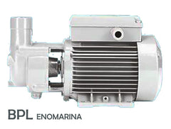 ELETTROPOMPA PERIFERICA - Gas 1" - MF/TF - kW 0,33 - BRONZO  Albero/shaft inox AISI 430